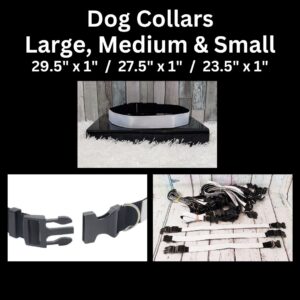 Dog Collar